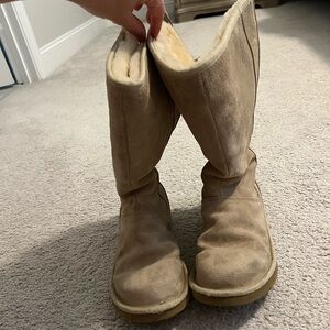 Cozy Tan Suede & Lined Uggs